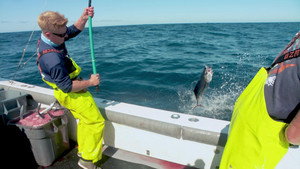 Battlefish