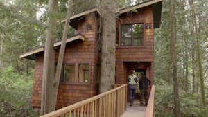 Big Timber