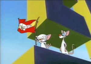 Pinky and the Brain